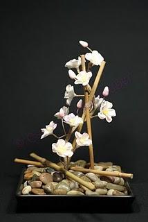 Kirschblüten zum Geburtstag