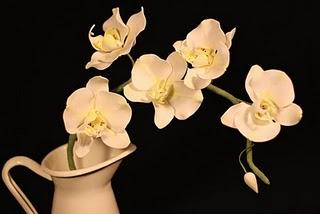 Zauberhafte Anleitungen im Zuckerzauber-Shop