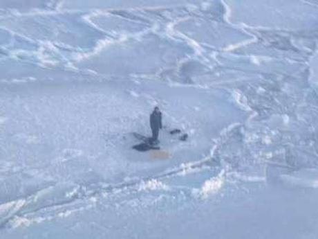 Junge überlebt bei 15 Grad minus auf Eisscholle mit drei Eisbären