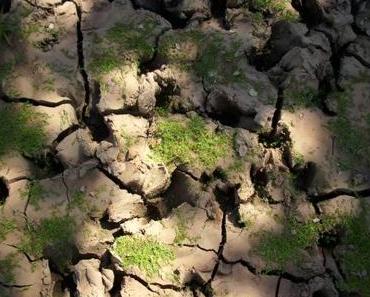 Weihnachten und Neujahr