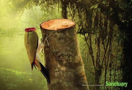 Großartige Kampagne gegen die Abholzung des Regenwaldes