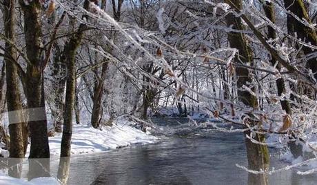 Bayerischer Wald, 94227 Zwiesel: Lastminute Winterurlaub Zwiesel