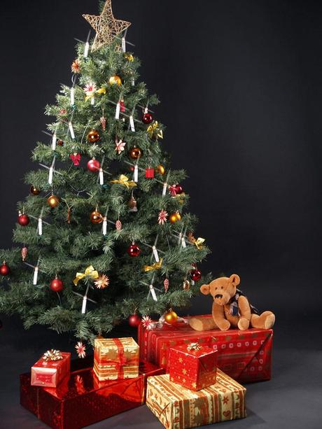 Weihnachtsbaum | SCHÖNESZUHAUSE
