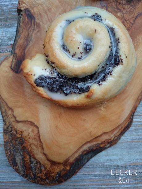 Mohnschnecken Mohnschnecken