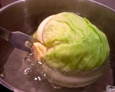 Kohlrouladen (Krautwickerl)