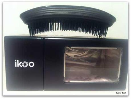 Ikoo Brush Home Haarbürste Test