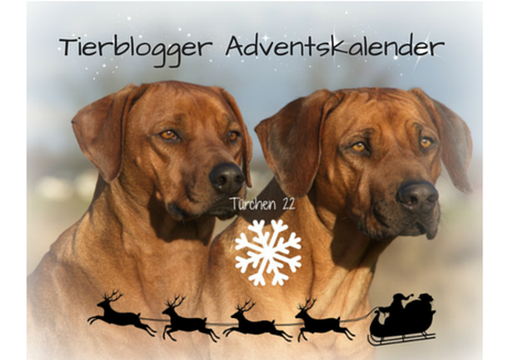 1222 Tierblogger  Adventskalender