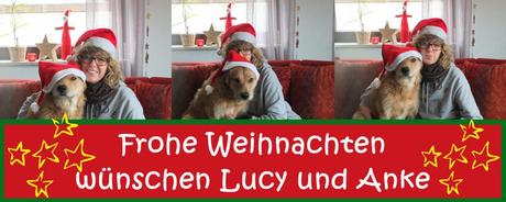 Frohe Weihnachten von Lucies Hundefutterblog