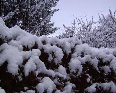 Frohe Weihnachten