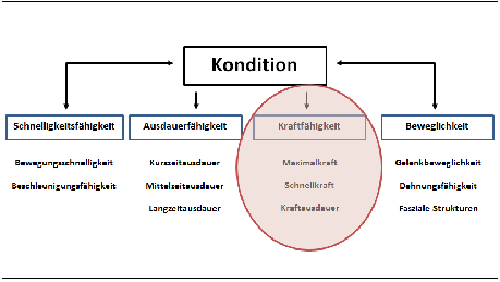 Grafik Kondition_kraftfokus