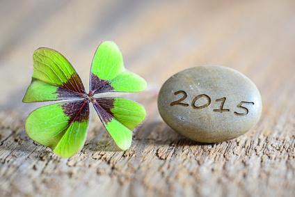 Die guten Vorsätze für das neue Jahr 2015