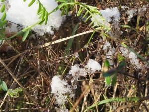 Endlich Schnee – Winterzeit