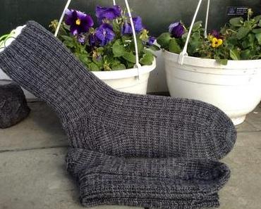 meine ersten Dickerchen