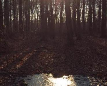 Mein Photo der Woche # 19 – oder – MPW # 19