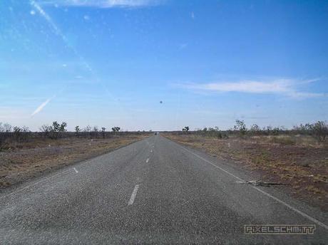 So sehen die Straße aus - inklusive überfahrenem Känguru (sog. Roadkill)