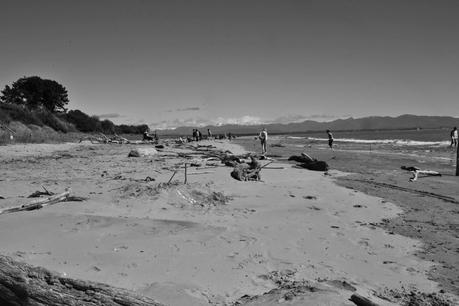 {Neues aus NZ} Tahunanui Beach Nelson BILDERFLUT
