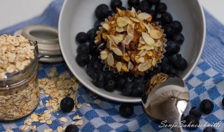 Blueberry Breakfastmuffins (6 von 7)