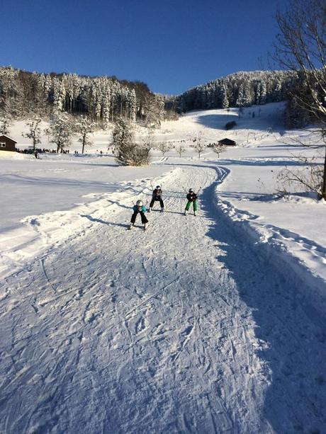 Januarloch-Spartipp: Kleine, aber feine Skigebiete vor der Haustüre