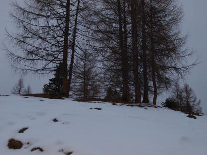 Mondspitze - Winterwanderung