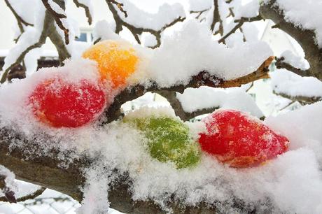 Januarkälte: Bunte Eiskugeln stimmen fröhlich