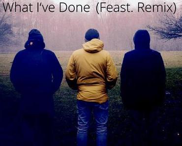 James Hersey – What I’ve Done (Feast. Remix) [free DL + Tourdaten]