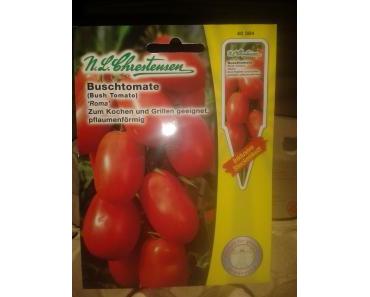Aussaat Buschtomate “Roma”