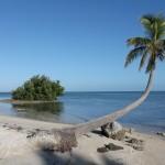 Florida Keys Highlights Islamorada