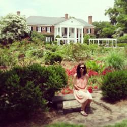 Boone Hall Plantation-Instagram