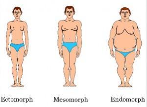 Stoffwechseltypen: Überblick auf alle 3 Körpertypen