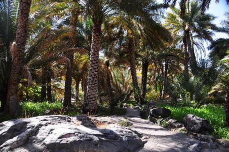 Eine traumhaft schöne Reise durch den Südosten des Oman, Teil 2 von Misfat al-Abriyeen über Nizwa bis in die Wüste
