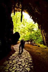 Blick aus der Guácharo Höhle in die Wälder des Nationalparks Cuevas del Guácharo in Norden Venezuelas, © Alejandrofrancob, Wikimedia Commons 