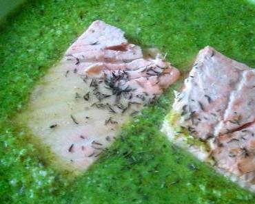 Sonntags-End-Check #30