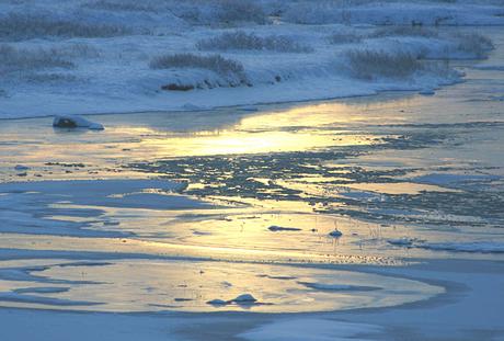 Island-Winter-Sunrise-Water