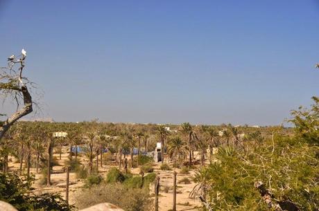Eine traumhaft schöne Reise durch den Südosten des Oman, Teil 3 von Sur über Maskat bis ins Strandhotel