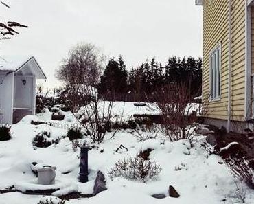 12tel Blick und das anklopfende Frühjahr im Winter-Wunderland