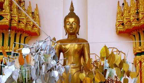 Thambun - Tue Gutes und Spende