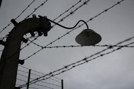 Der Zaun war elektrisch geladen. Hier eine Aufnahme aus Auschwitz-Birkenau. 