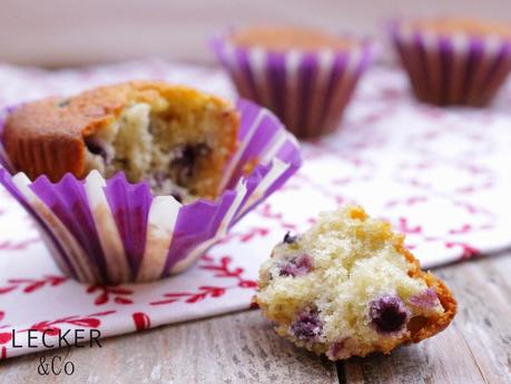 Heidelbeermuffins mit weißer Schokolade Heidelbeermuffins mit weißer Schokolade
