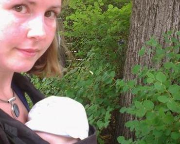 Russischer Zupfkuchen - Sommer Mitbringparty