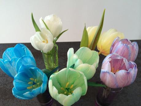 Zweiter Versuch: Experiment Tulpen färben