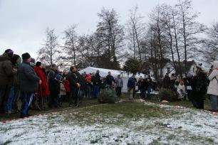 Auf Hiddensee flogen wieder die Weihnachtsbäume