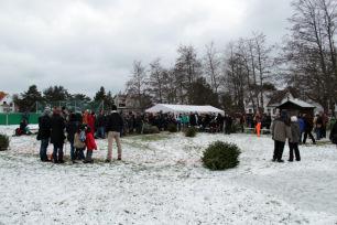 Auf Hiddensee flogen wieder die Weihnachtsbäume