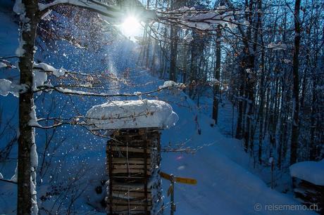 Holzstapel-Schnee-Amden