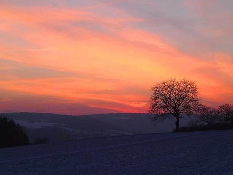 Sonnenuntergang bei Weil der Stadt. - © Foto: Erich Kimmich