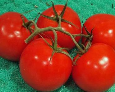 Frühlingszeit = Pflanzzeit