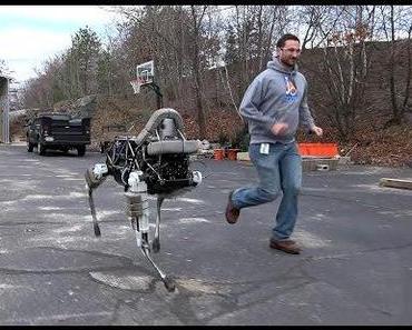 Roboter Hunde von Boston Dynamics