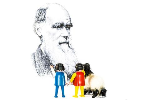 Kuriose Feiertage - 12. Februar - Darwin-Tag – der weltweit gefeierte Darwin Day zu Ehren des Naturwissenschaftlers Charles Darwin - 1 (c) 2015 Sven Giese