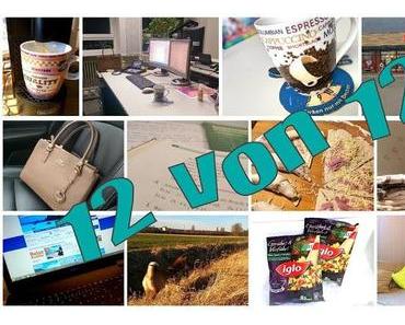 12 von 12 – Februar 2015