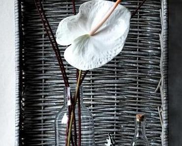 Der Elch ist gesattelt