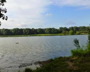 Werners heimliche Liebe - die Stadt Bremen
